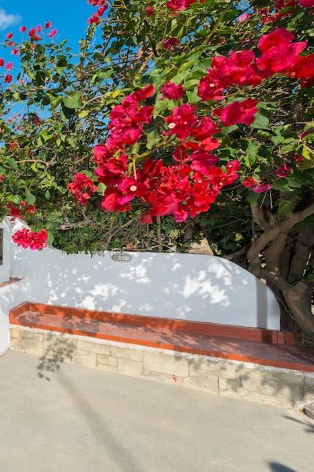 יאליסוס Greek Style Ground Floor Apartment & Pool מראה חיצוני תמונה