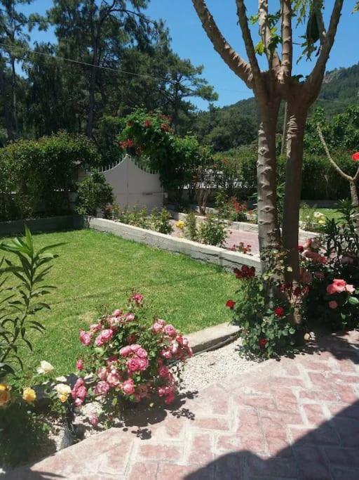 יאליסוס Greek Style Ground Floor Apartment & Pool מראה חיצוני תמונה