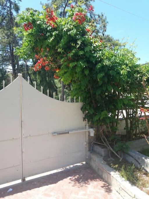 יאליסוס Greek Style Ground Floor Apartment & Pool מראה חיצוני תמונה